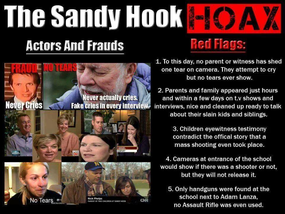 Image result for sandy hook hoax